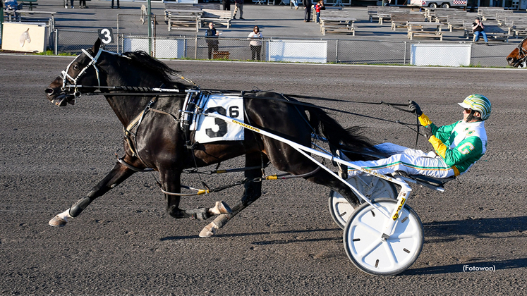 Natameri winning at Vernon Downs