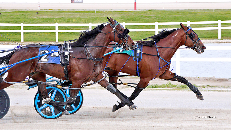 Prince Hal Hanover winning at Miami Valley Raceway