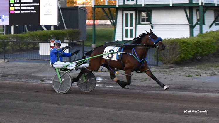 Rosetown Mary