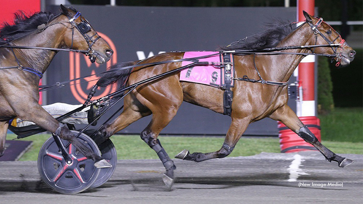 UsainHanover-051826-NewImageMedia-1024px