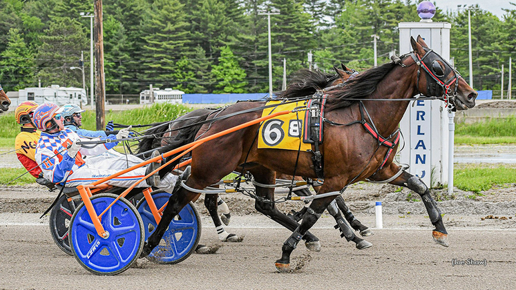 Vel Trust In Time winning at First Tracks Cumberland