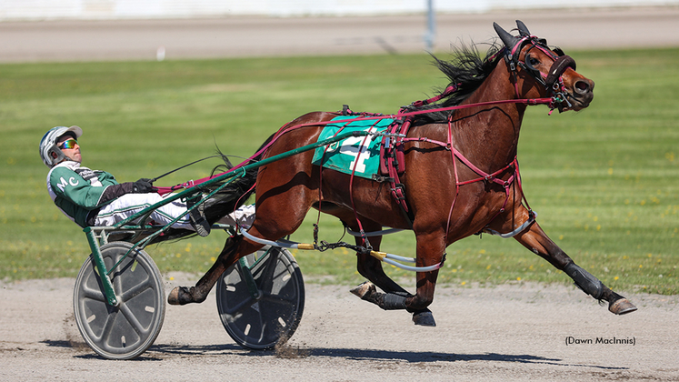 Windemere Skye winning at Summerside Raceway
