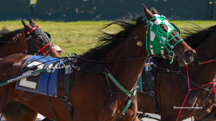 Woodmere Rollnpop winning at Buffalo Raceway