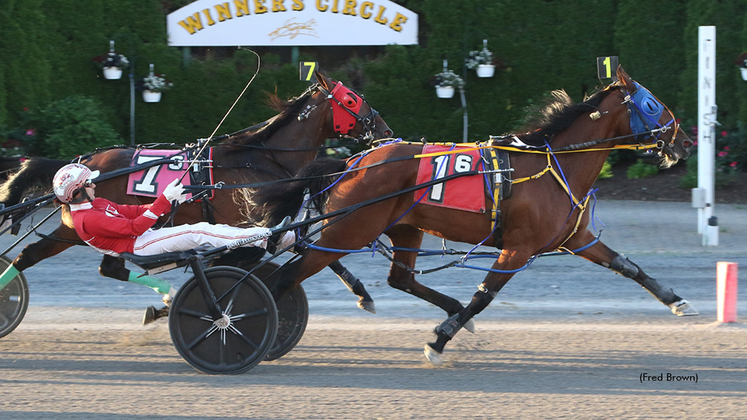 Aint She Pretty winning at Tioga Downs