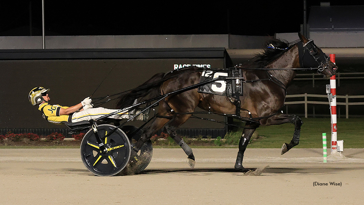 Bad Girl Up winning at Northfield Park