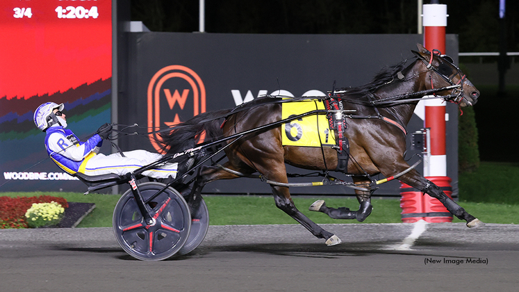 Century Komodo winning at Woodbine Mohawk Park