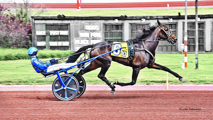 Duicinea Hanover winning at Pocono Downs