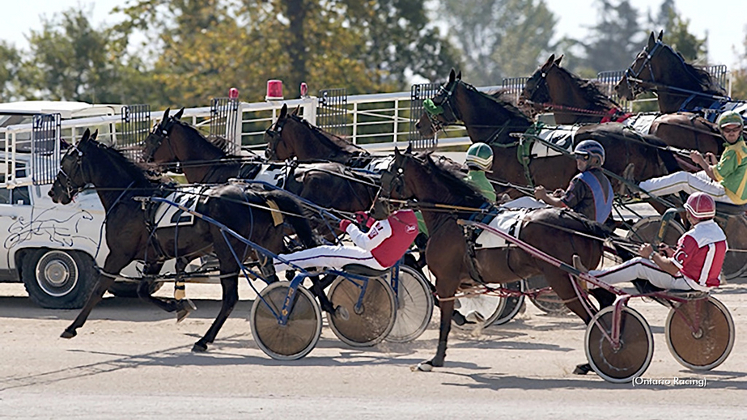 Headed to the gate at Georgian Downs