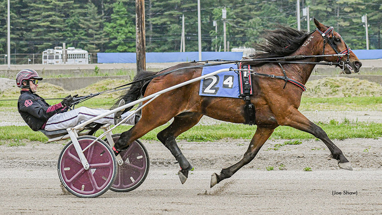 Ghetto Boy winning at First Tracks Cumberland