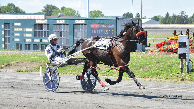 Godiva Shadow Girl winning at Hippodrome 3R