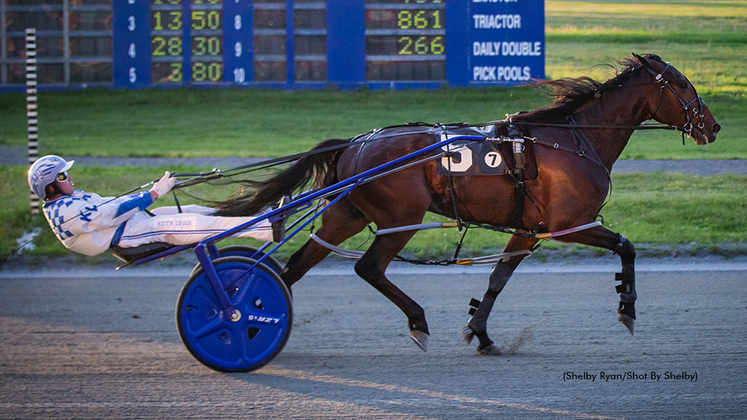 Income Approach winning at Woodbine Mohawk Park