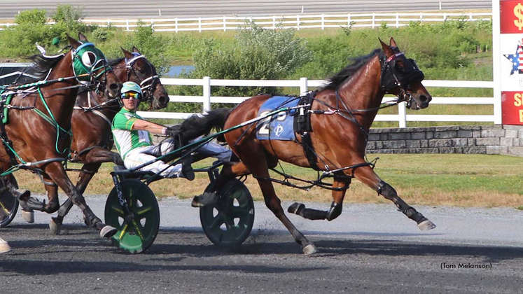 Justa Little Bit A winning at Plainridge Park
