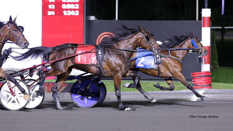 Kngtstlkrs Games winning at Woodbine Mohawk Park