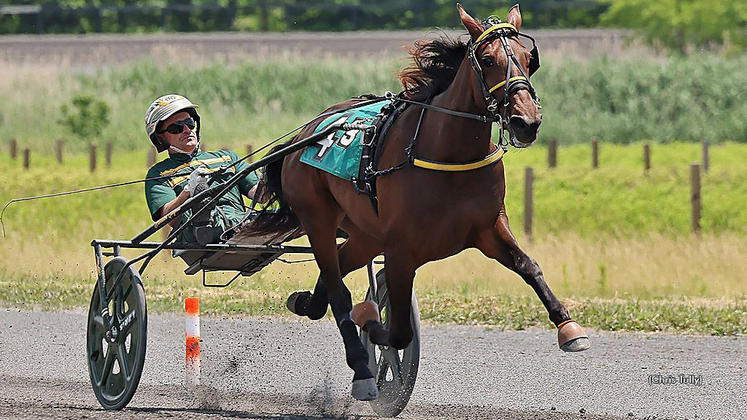Nevis Peak qualifying at Gaitway Farm