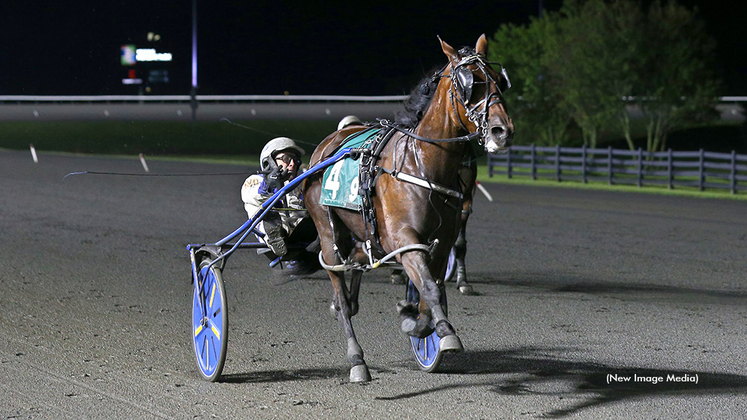 Odds On Mr Mamba winning at Woodbine Mohawk Park