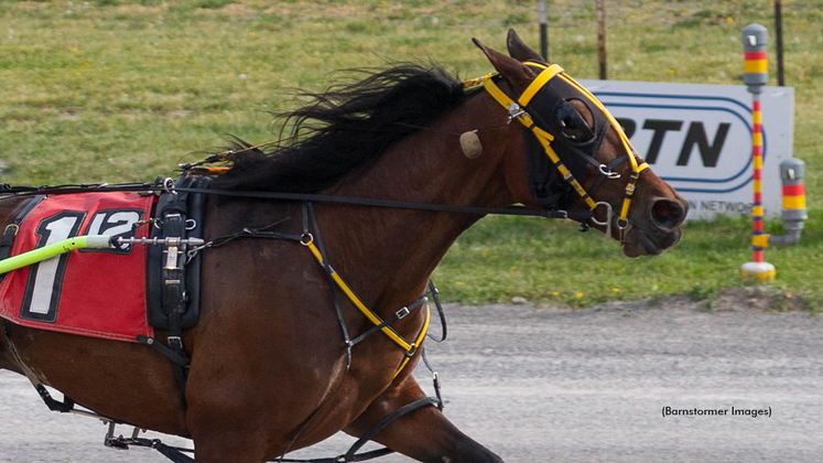 Whats The Point winning at Buffalo Raceway
