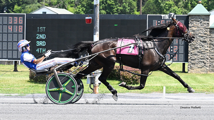 Wolfpack Zach winning at Saratoga Raceway