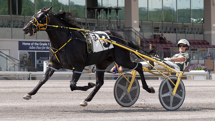 Al Papi winning at The Meadows