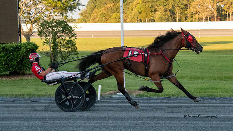 Booger Bear winning at Ocean Downs