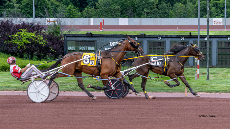 Dandy Ideal winning at Pocono Downs