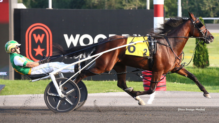 Diamondsbestfriend winning at Woodbine Mohawk Park