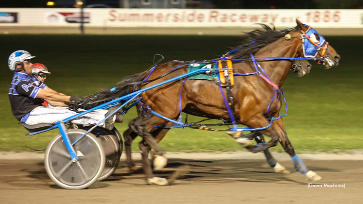 Doc Awesome