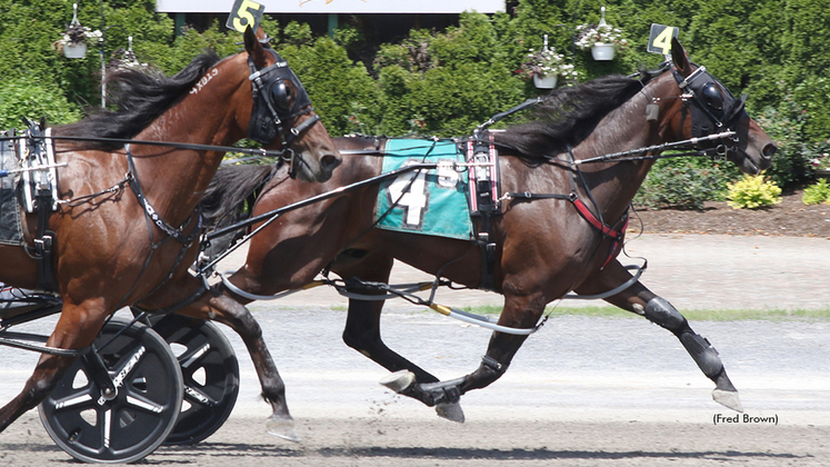 Hunting Zone winning at Tioga Downs