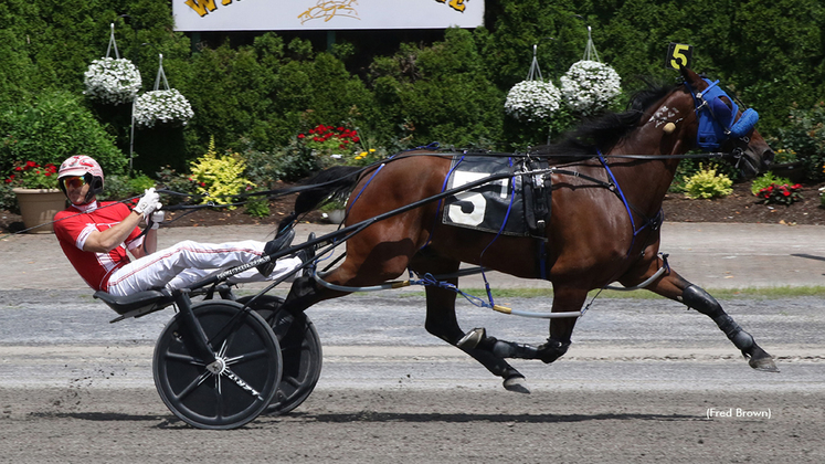 Melanion winning at Tioga Downs