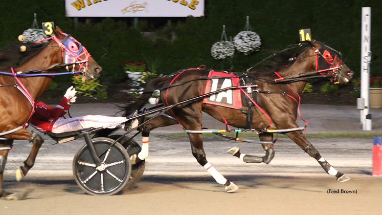 Mickie Mantle winning at Tioga Downs