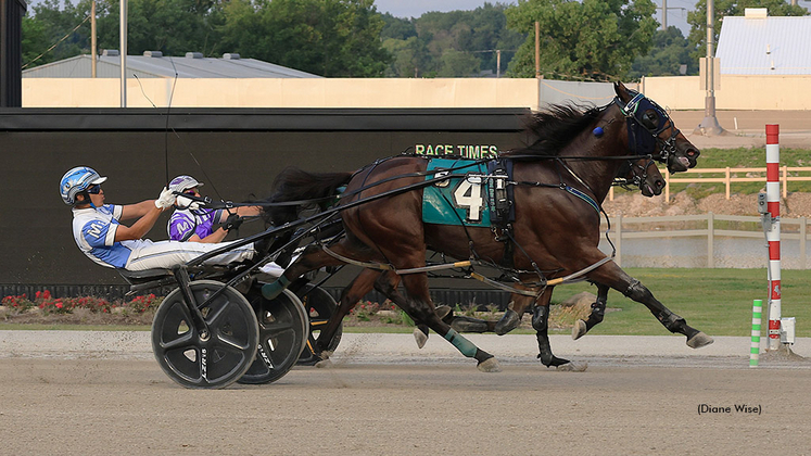 Myboypank winning at Northfield Downs