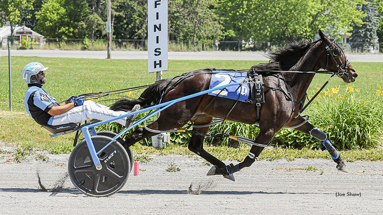 No Small Wonder winning at Bangor Raceway