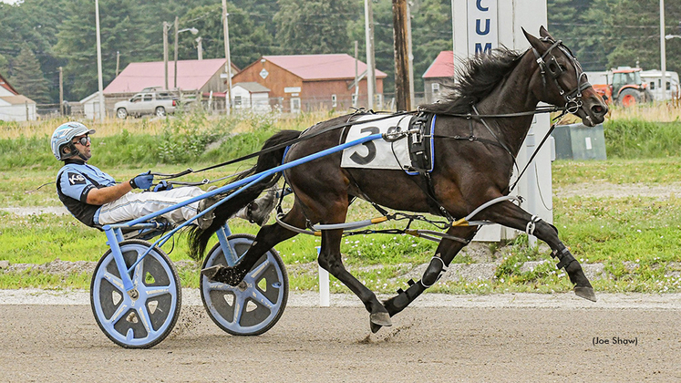 No Small Wonder winning at First Tracks Cumberland