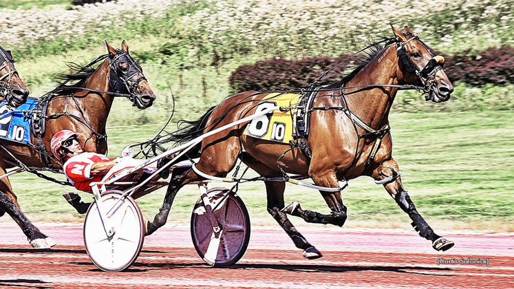 Ruthless Hanover