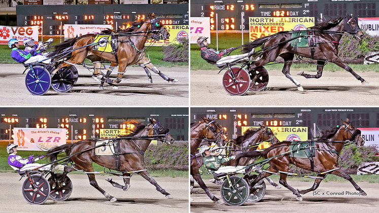 A collage of the winning horses of the Grade 3 events