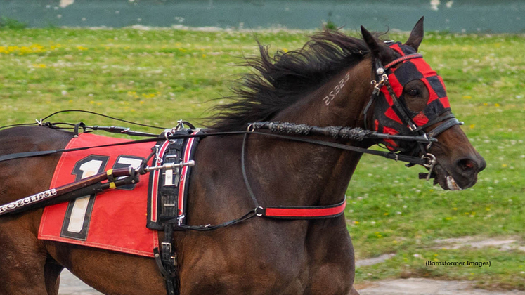 Seventier winning at Buffalo Raceway