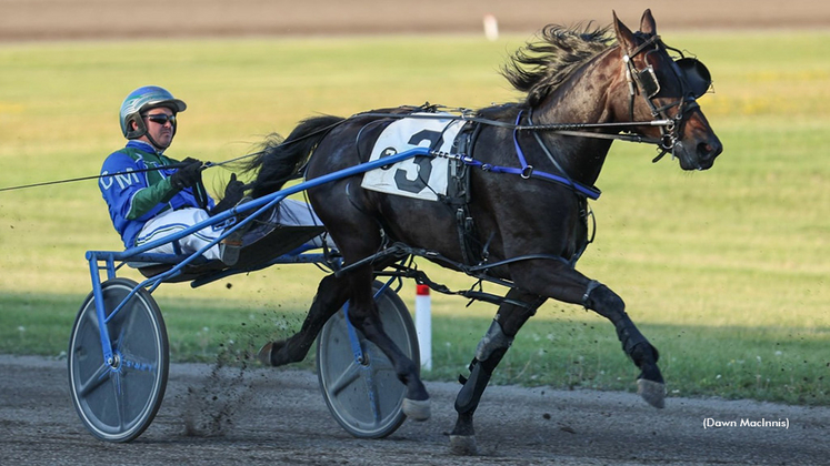 Woodmere Dougal