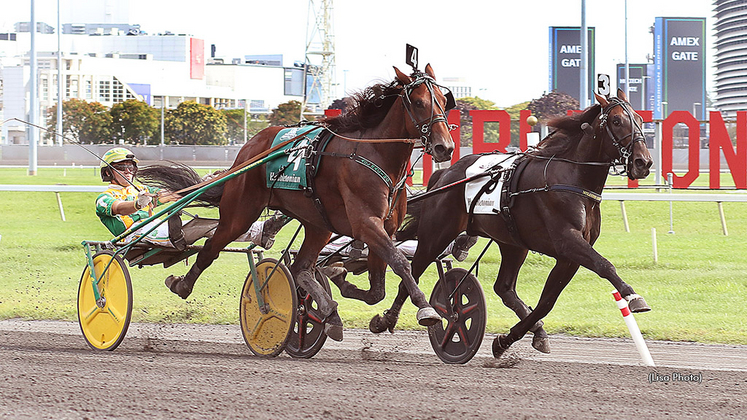 Apex winning at The Meadowlands
