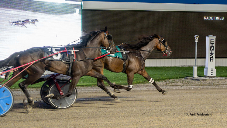 April Duford winning at Hiawatha Horse Park
