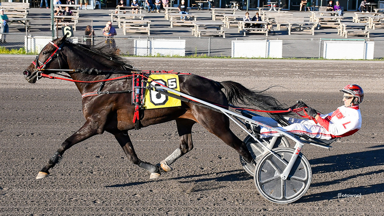Big Al M winning at Vernon Downs