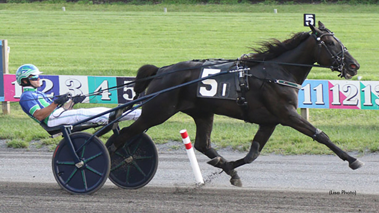 Carve winning at The Meadowlands
