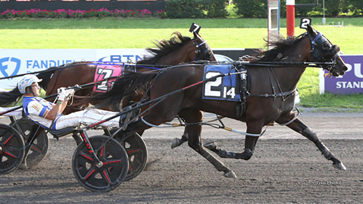 Miki And Minnie winning at The Meadowlands