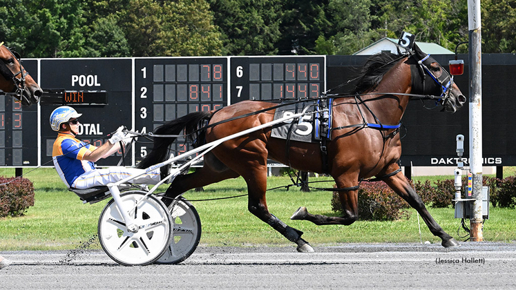 Mocha Java winning at Saratoga Raceway