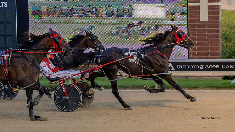 PD The Big Easy and driver/trainer Brady Jenson