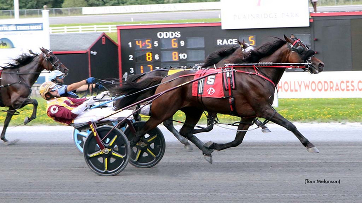 Pepper Wow winning at Plainridge Park