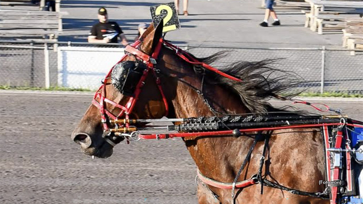 Savage Cindy winning at Vernon Downs