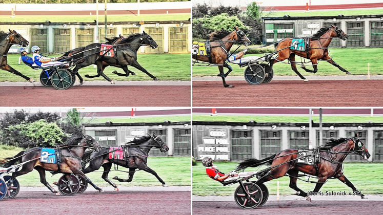 A collage of the Sun Stakes Saturday winners