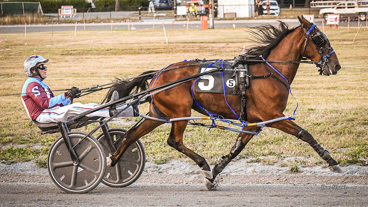 Top Notch Treasure winning at Bangor Raceway