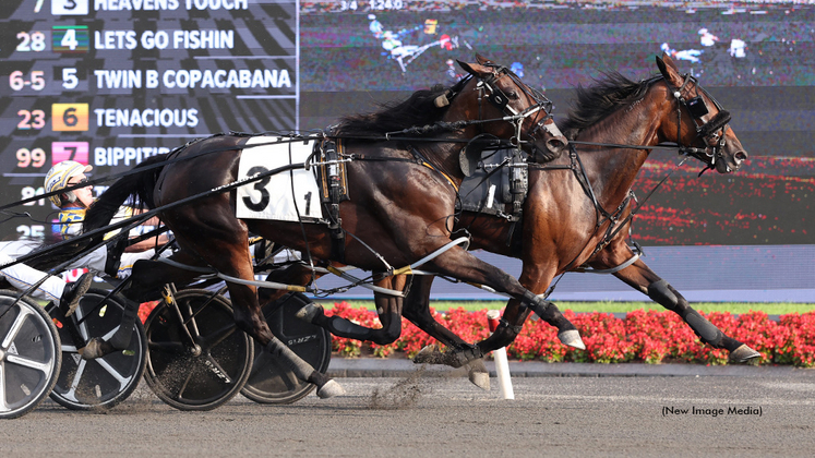 Twin B Copacabana winning at Woodbine Mohawk Park