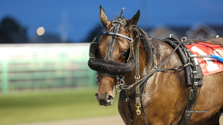 Woodmere Rock It at Summerside Raceway on July 16, 2026