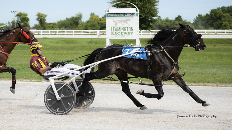 YS Delight winning at Leamington Raceway
